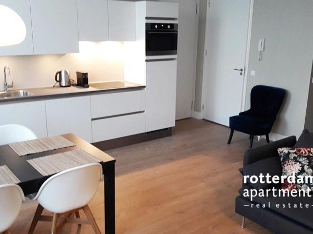 Studio for rent