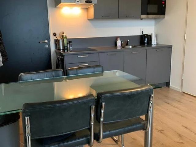 studio for rent Assen Pelikaanstraat