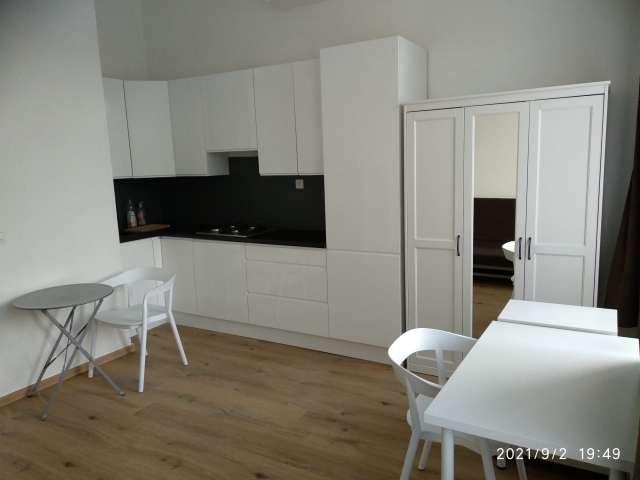 Studio for rent in Anderlecht Centre Wayez, Brussels