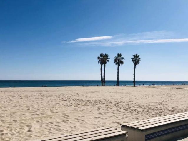 Studio for rent in Alicante perfect for students and professionals