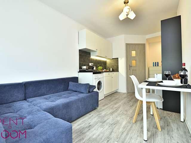 Studio for rent in Bałuty Centrum, Łódź