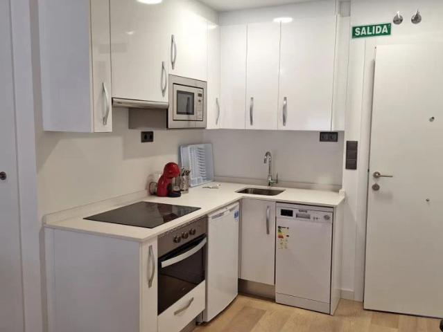 Studio for rent in Guindalera