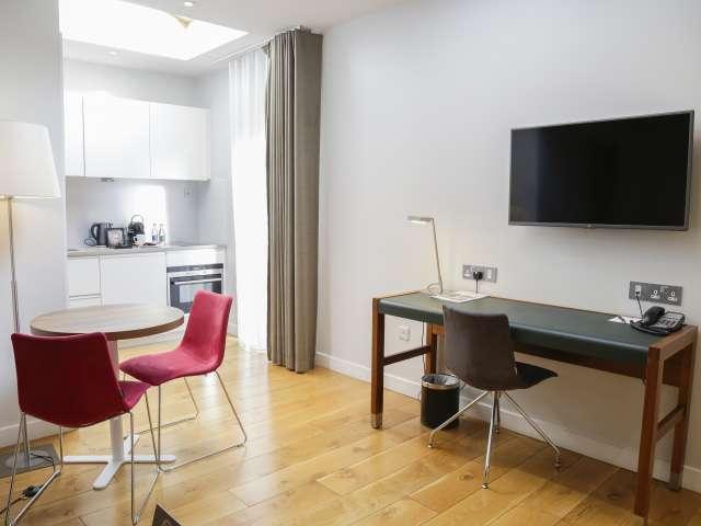 Studio for rent in Donnybrook, Dublin