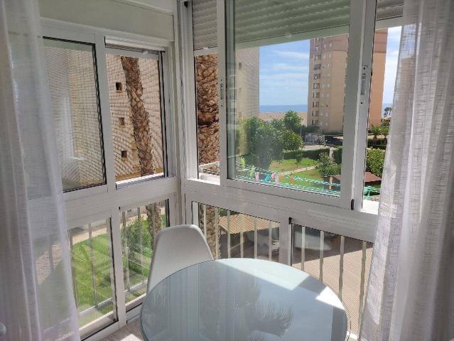 Studio for rent in Dehesa de Campoamor, Orihuela, Alicante