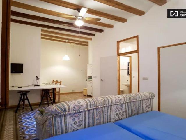 Studio for rent in El Gòtic, Barcelona