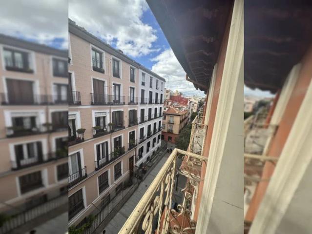 Studio for rent in Justicia