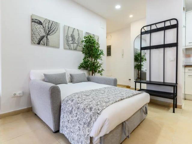 Studio for rent in Justicia, bills included
