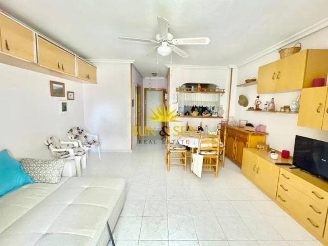 Studio for rent in Los Europeos, Torrevieja, Alicante