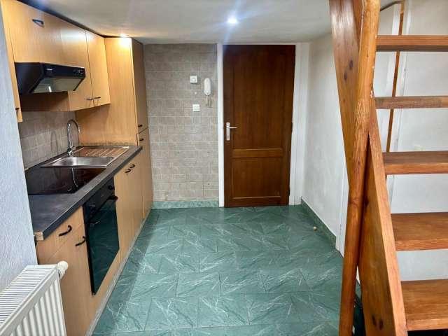 Studio for rent in Matonge, Brussels
