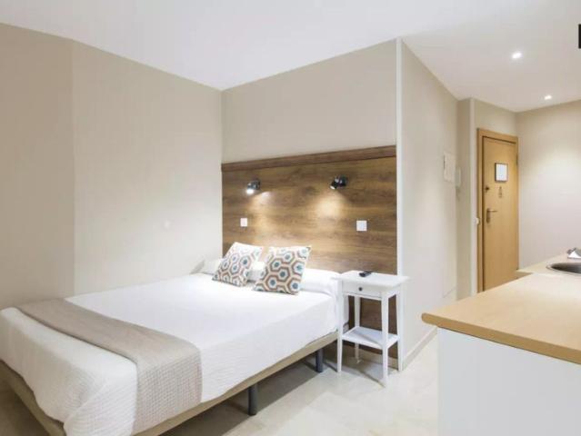 Studio for rent in Sol, Madrid