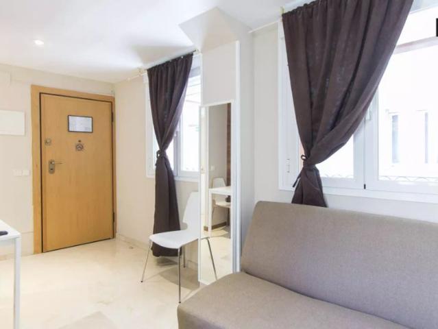 Studio for rent in Sol, no restrictions, perfect for professionals and students
