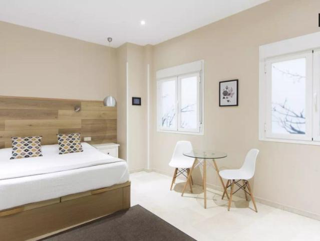 Studio for rent in Sol, perfect for professionals or students