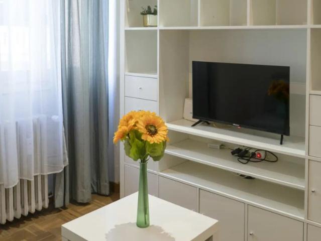 Studio for rent in Sol