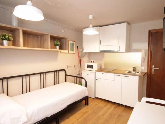 Studio for rent in Sant Andreu, Barcelona