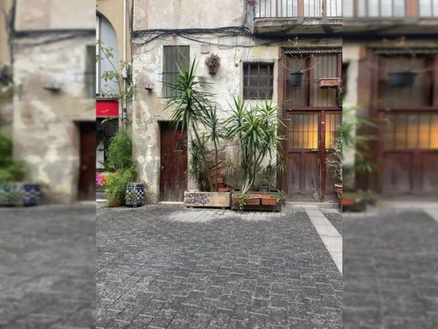 Studio for rent in Sant Pere Santa Caterina i la Ribera, bills included