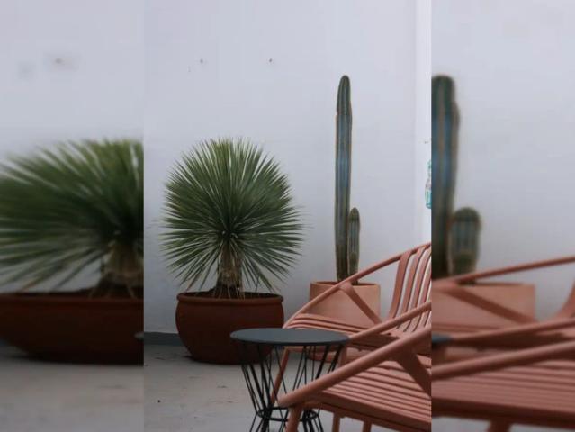 Studio for rent in Santa Catalina Canteras, bills included