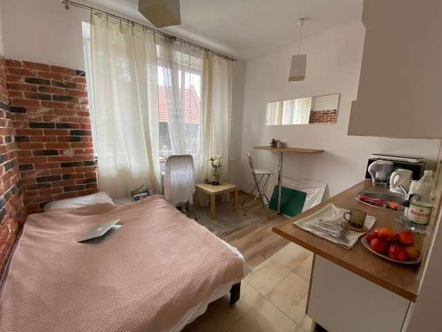Studio for rent in Piasek Północ, Krakow