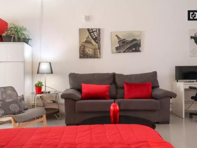 Studio for rent in Pueblo Nuevo, suitable for pets and smokers