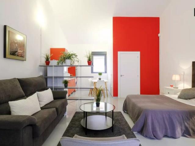 Studio for rent in Pueblo Nuevo