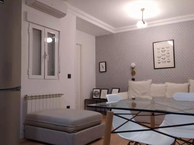 Studio for rent in Puerta del Ángel, pets allowed