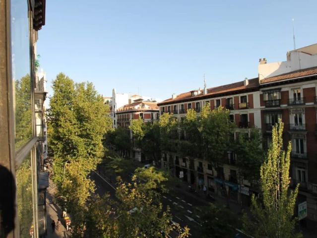 Studio for rent in Trafalgar