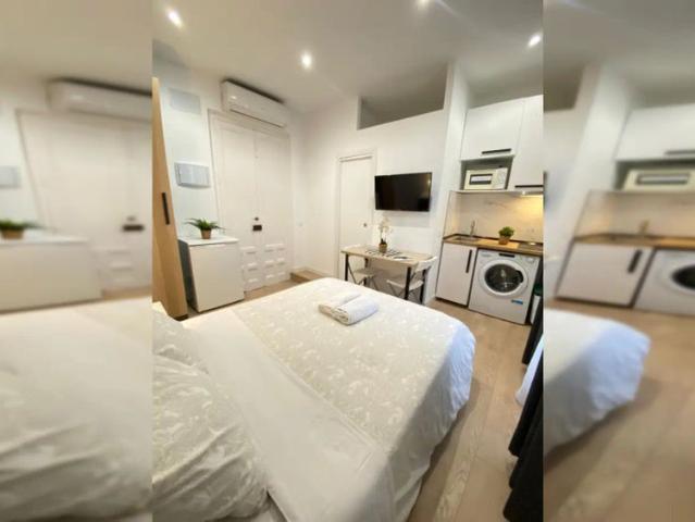 Studio for rent in Universidad
