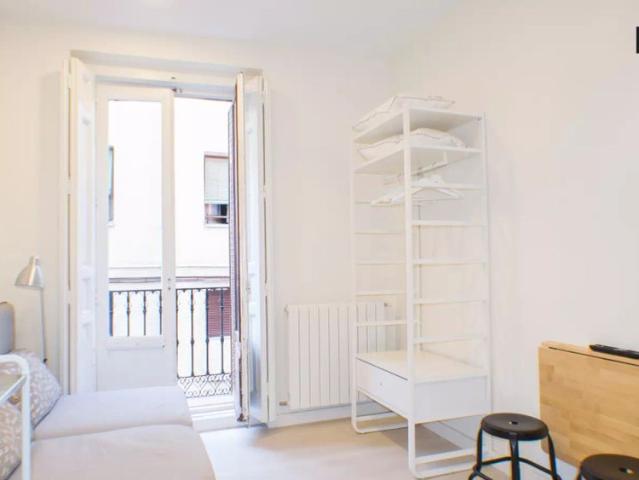 Studio for rent in Universidad
