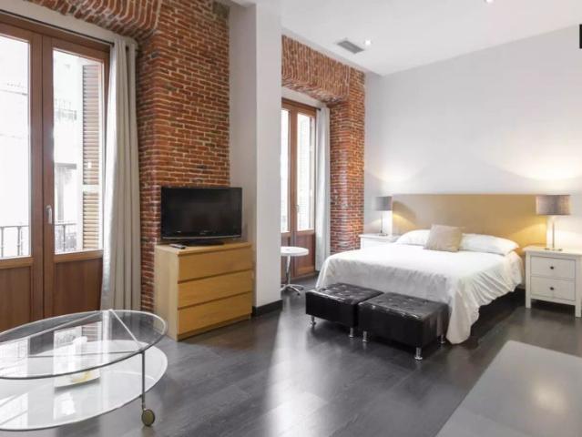 Studio for rent in Universidad, Madrid