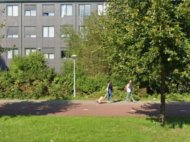 Studio in Amsterdam