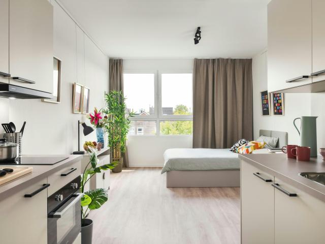 Studio in Leiden