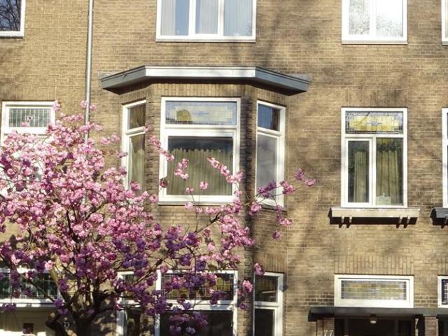 Studio in Maastricht