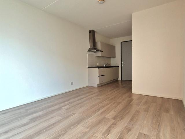 Studio in 's Gravenhage