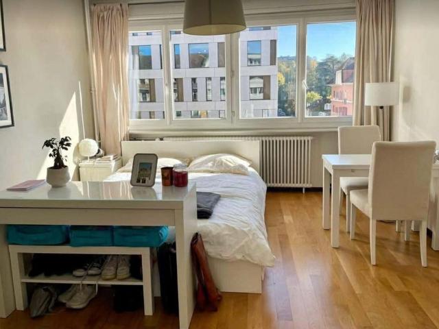 Studio in Plainpalais