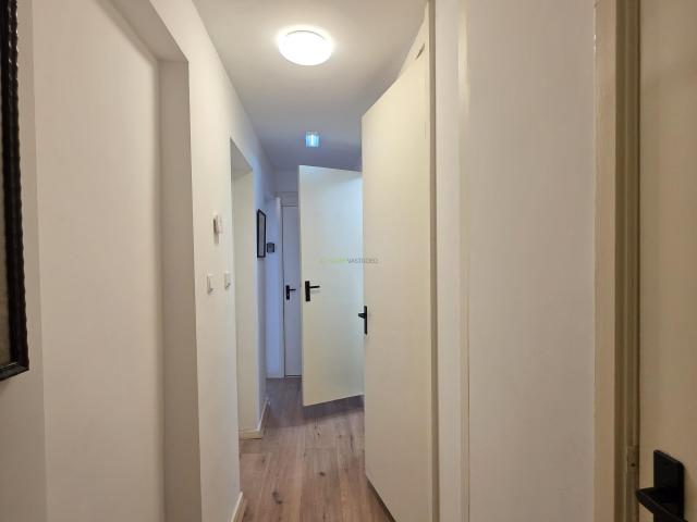 studio in Rotterdam, Saftlevenstraat