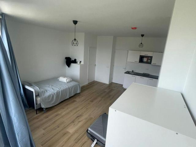 Studio in Rotterdam