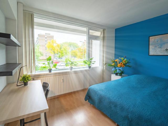 Kamer in Rotterdam