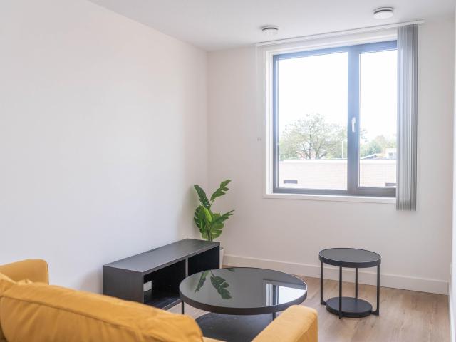 studio in Tilburg, Rosmolenplein
