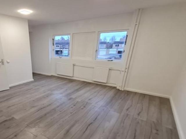 Studio Lelieberg in Roosendaal
