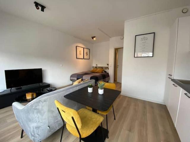 Studio lumineux à louer à Paris 15ème, 1 pièce, 24m², étage 1