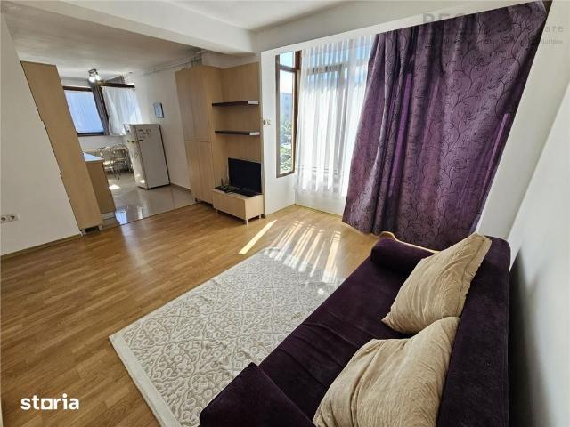 Studio Modern Astra str Vulturului PET FRIENDLY