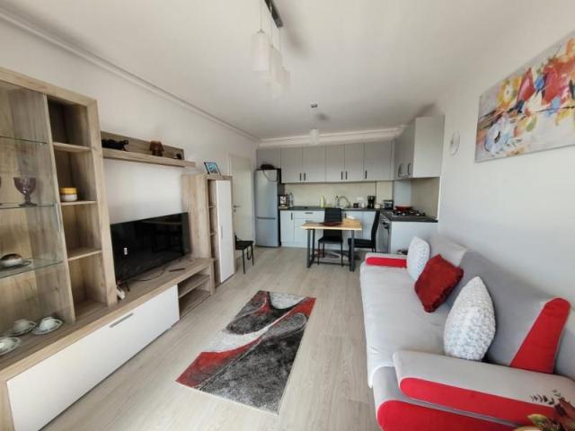Studio modern si confortabil de inchiriat in zona Coresi