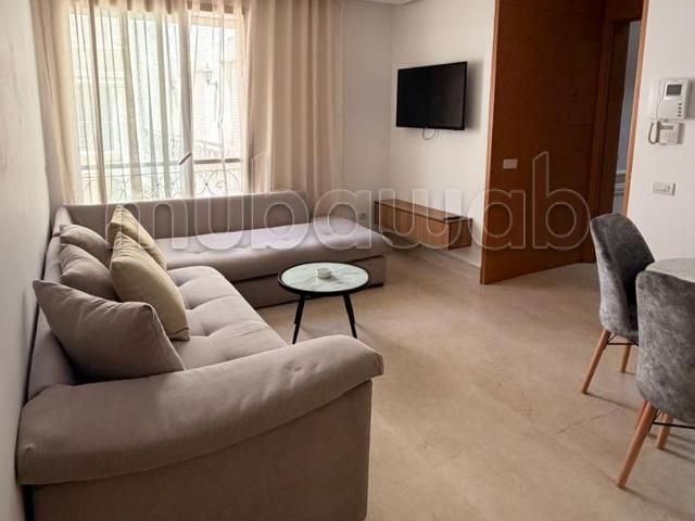 Studio moderne à louer au triangle d'or