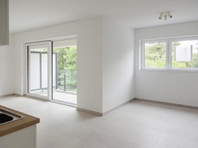 Studio moderne à louer