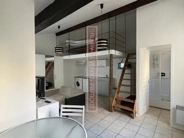 Studio meublé avec mezzanine