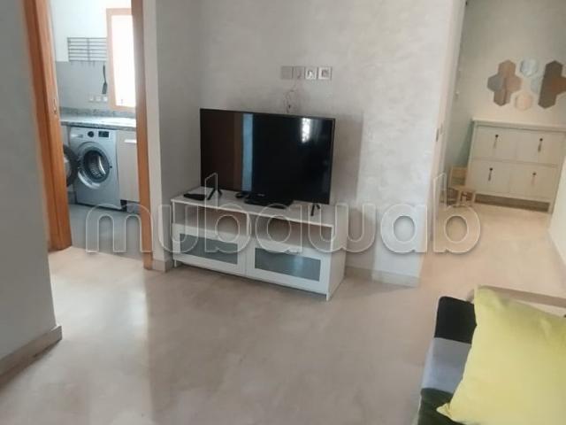 Studio meublé à belvéder pour location