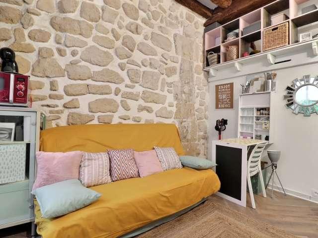 Studio meublé à louer 14 m² Saint Paul Paris