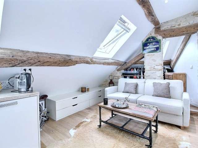 Studio meublé à louer 17 m² Saint Germain Paris