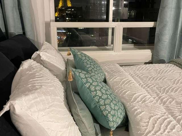 Studio meublé à louer 23 m² Beaugrenelle Paris