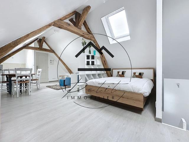 Studio Meublé Sous Combles