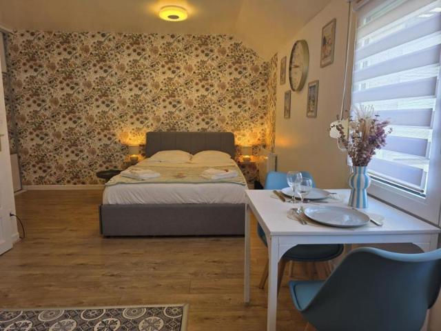 Studio meublé 26m2 Rue Ruinart de Brimont